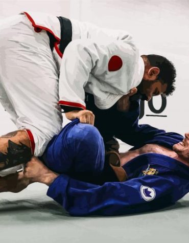 Brazilian Jiu Jitsu Players Paint By Numbers