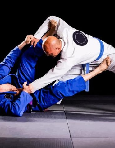 Brazilian Jiu Jitsu Legends Paint By Numbers