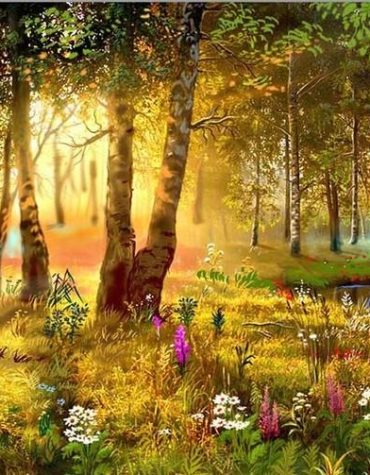 Sunlit Forest Landscape Paint By Numbers