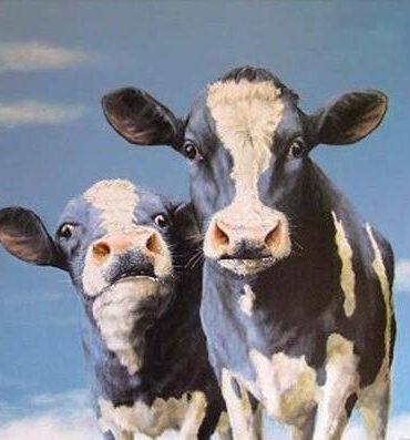 Friesian Calf Paint By Numbers