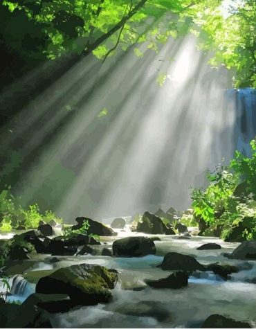 Beautiful Forest Landscape Paint By Numbers