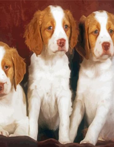 Brittany Puppies Pet Lover's Paint By Numbers