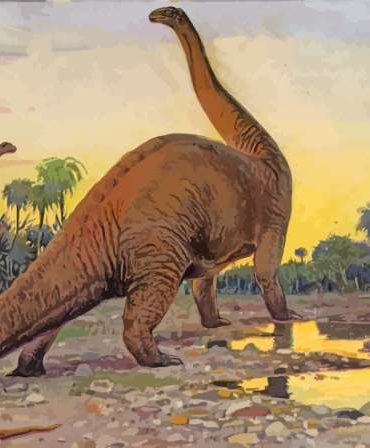 Brontosaurus Dinosaur Adventure Paint By Numbers