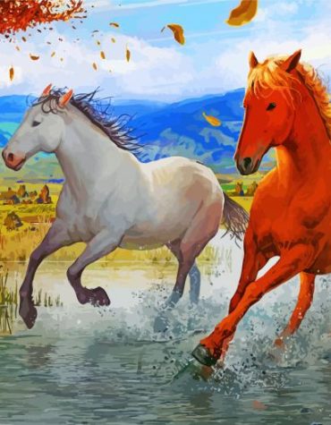 Brown And White Horses Paint By Numbers