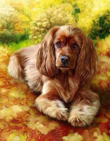 Brown Dog Animals Paint By Numbers