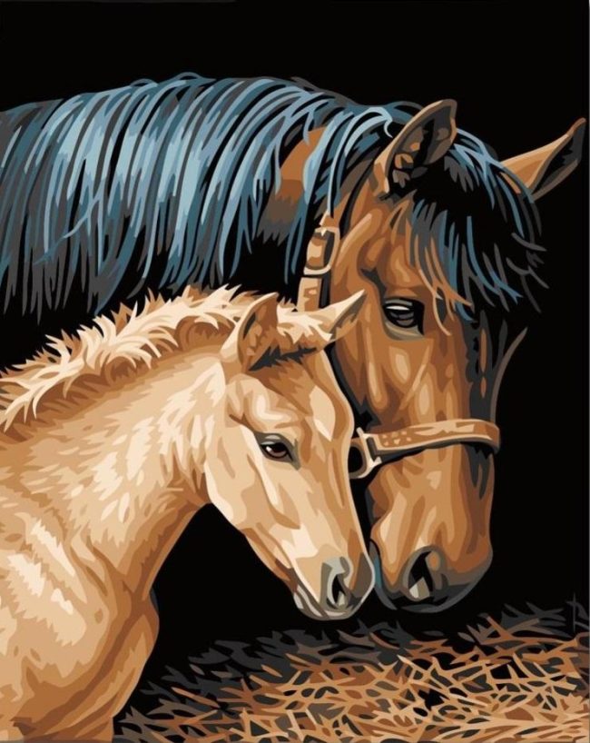 Brown and Foal Paint By Numbers