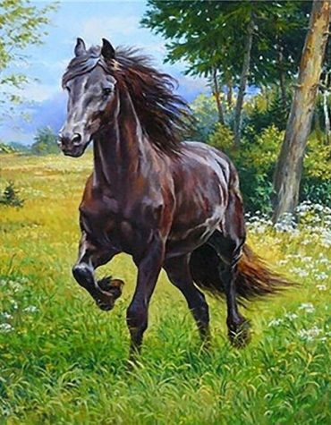 Arabian Horse in Forest Paint By Numbers