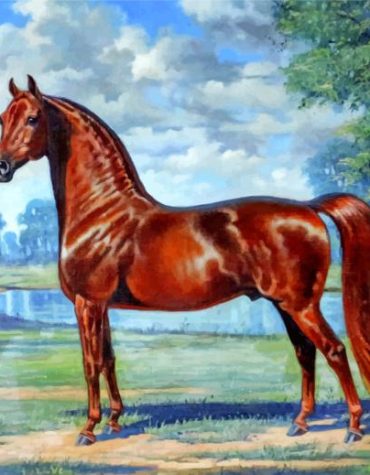 Arabian Horse Masterpiece Paint By Numbers