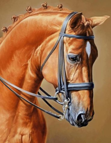 Brown Stallion Art Paint By Numbers