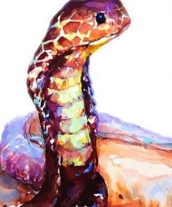 Brown Snake Wild Life Paint By Numbers