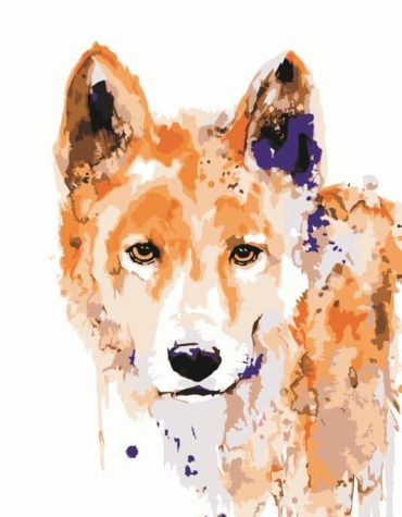 Brown Wolf Splatter Paint By Numbers