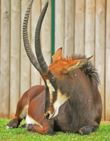 Brown Sable Antelope Wildlife Paint By Numbers