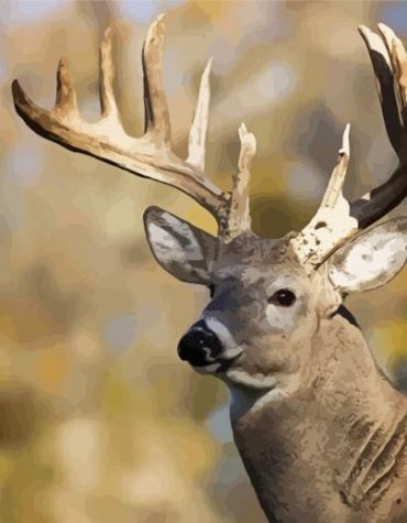 Buck Deer Wilderness Paint By Numbers