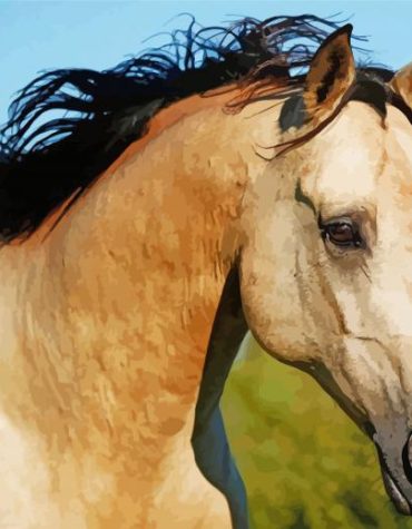 Golden Buckskin Horse Paint By Numbers