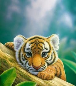 Budding Tiger Cubs Paint By Numbers