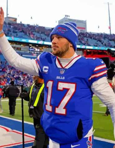 Buffalo Bills NFL Team Paint By Numbers