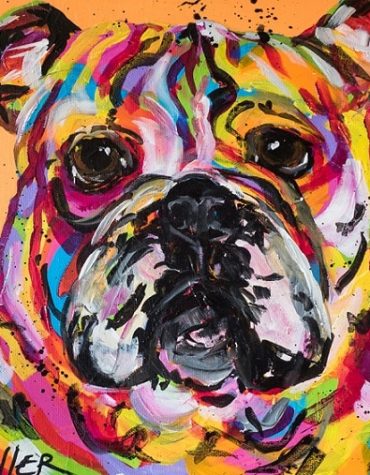 Bulldog Colorful Animal Paint By Numbers