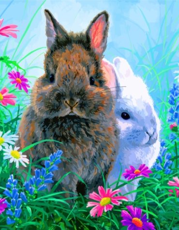 Bunny Rabbit Delight Paint By Numbers