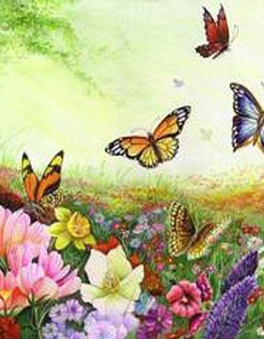 Butterfly Landscape Scene Paint By Numbers