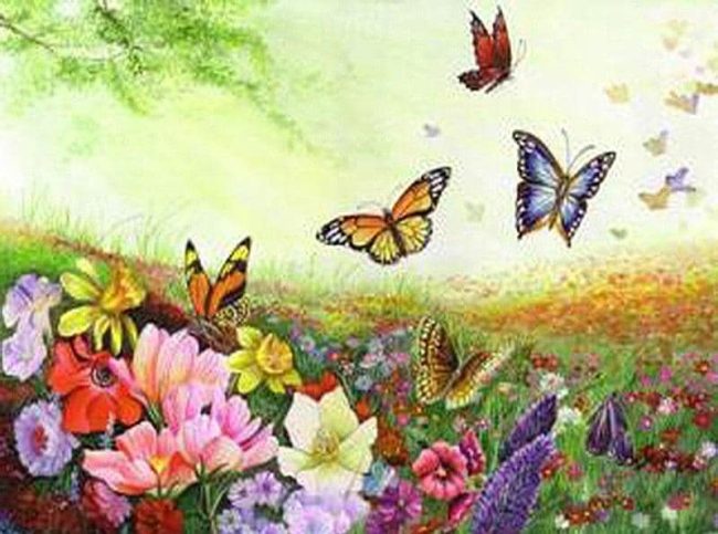 Butterfly Landscape Scene Paint By Numbers