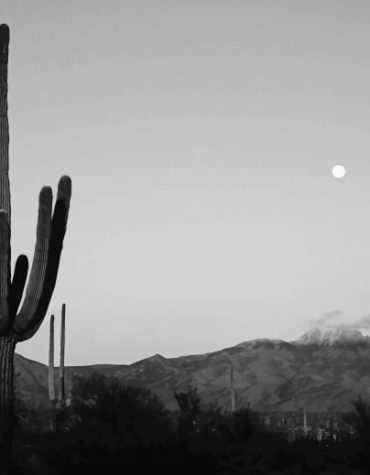 Cactus Moon Landscape Paint By Numbers