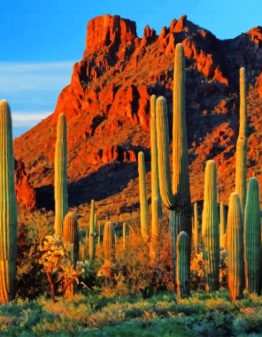 Saguaro Cactus Landscape Paint By Numbers