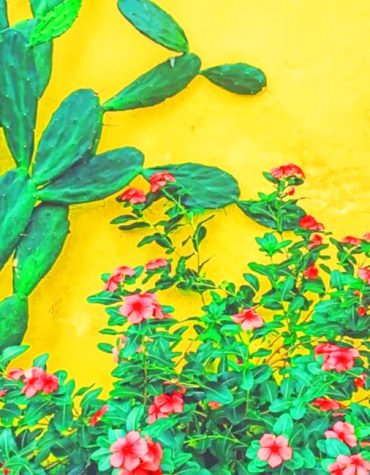 Cactus Eastern Prickly Pear Paint By Numbers