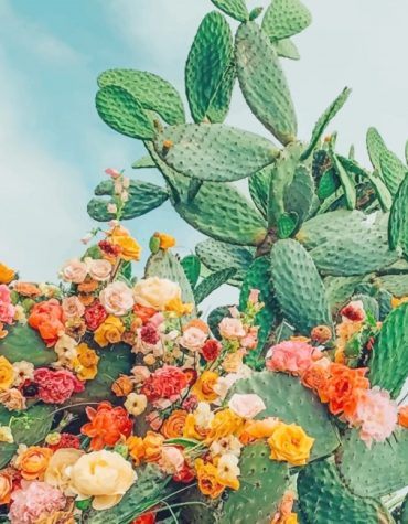 Cactus Bloom Greenery Paint By Numbers