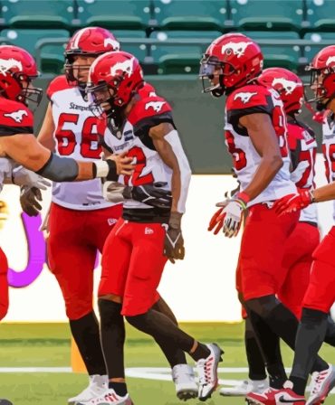 Calgary Stampeders Football Paint By Numbers