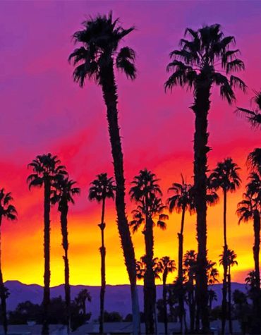 California Sunrise Paint By Numbers