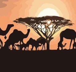 Camels Silhouette Sunset Paint By Numbers