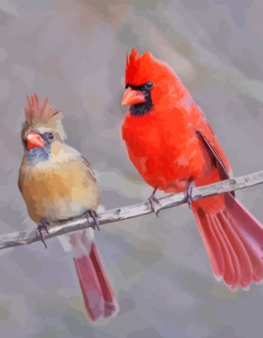 Cardinals Pair on Stick Paint By Numbers