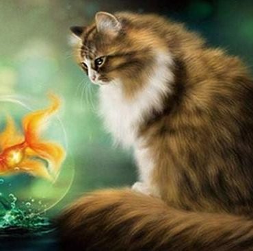 Cat and Fish Animal Art Paint By Numbers