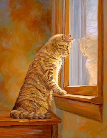 Kitten by the Window Paint By Numbers
