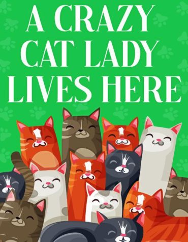 Cat Lover's Cartoon Paint By Numbers