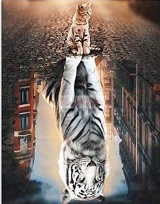 Cat Becomes Tiger Paint By Numbers