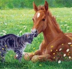 Cat and Horse Animal Paint By Numbers