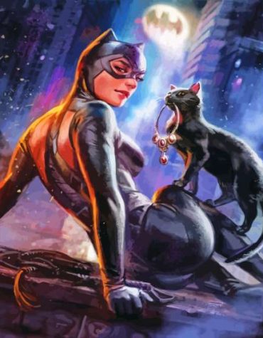 Catwoman Feline Adventure Paint By Numbers