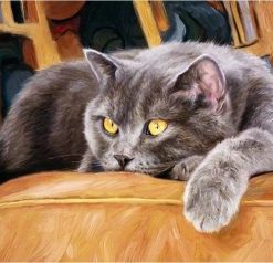 Cat on Couch Animal Paint By Numbers