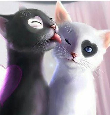 Romantic Kitties Paint By Numbers