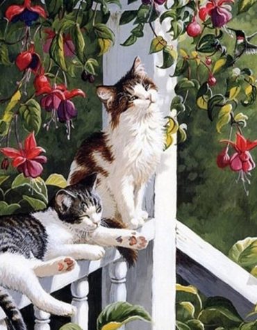 Charming Cats Paint By Numbers
