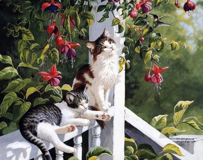 Charming Cats Paint By Numbers