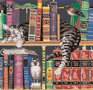Cats and Bookshelves Paint By Numbers