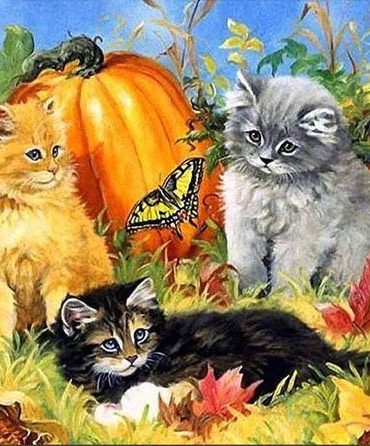 Halloween Cats with Pumpkin Paint By Numbers
