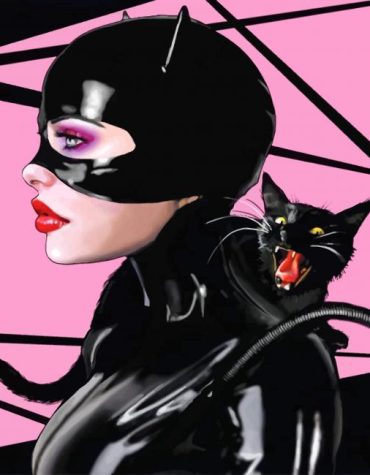 Catwoman Anime Paint By Numbers