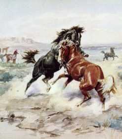 Majestic Stallions Paint By Numbers