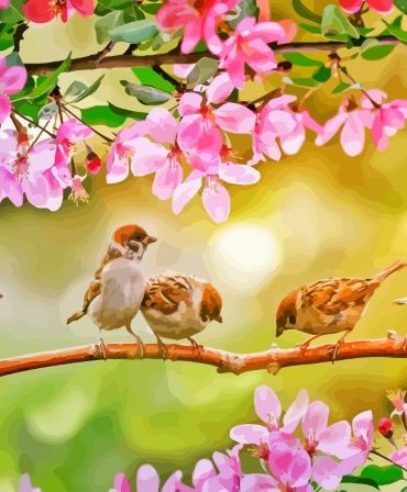 Birds and Cherry Blossom Paint By Numbers