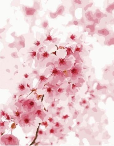 Cherry Blossom Painted Picture Paint By Numbers