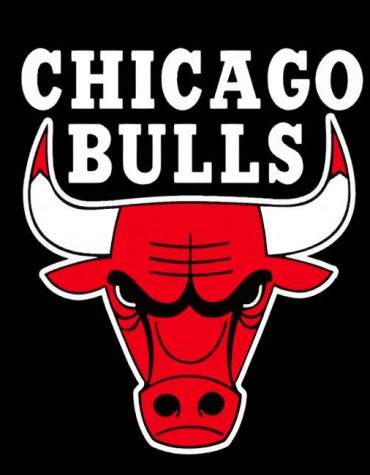 Chicago Bulls Basketball Paint By Numbers