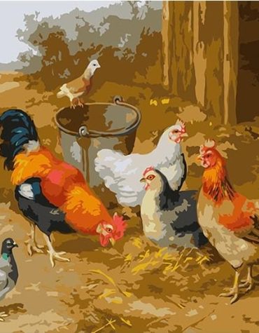 Edgar Hunt Chicken Art Paint By Numbers
